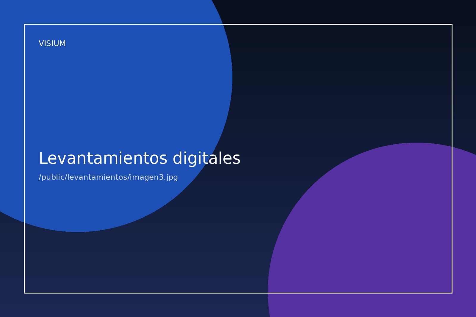 VISIUM Mapeo de referencia